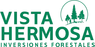 Logo vista hermosa
