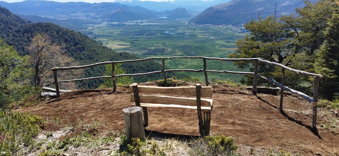 Maquinaria forestal